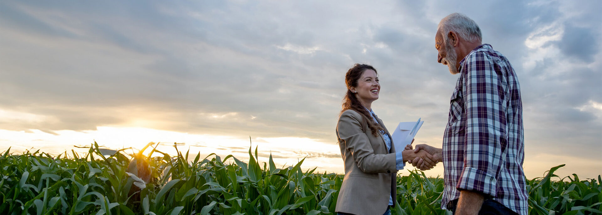 Un agriculteur serre la main à une responsable commerciale