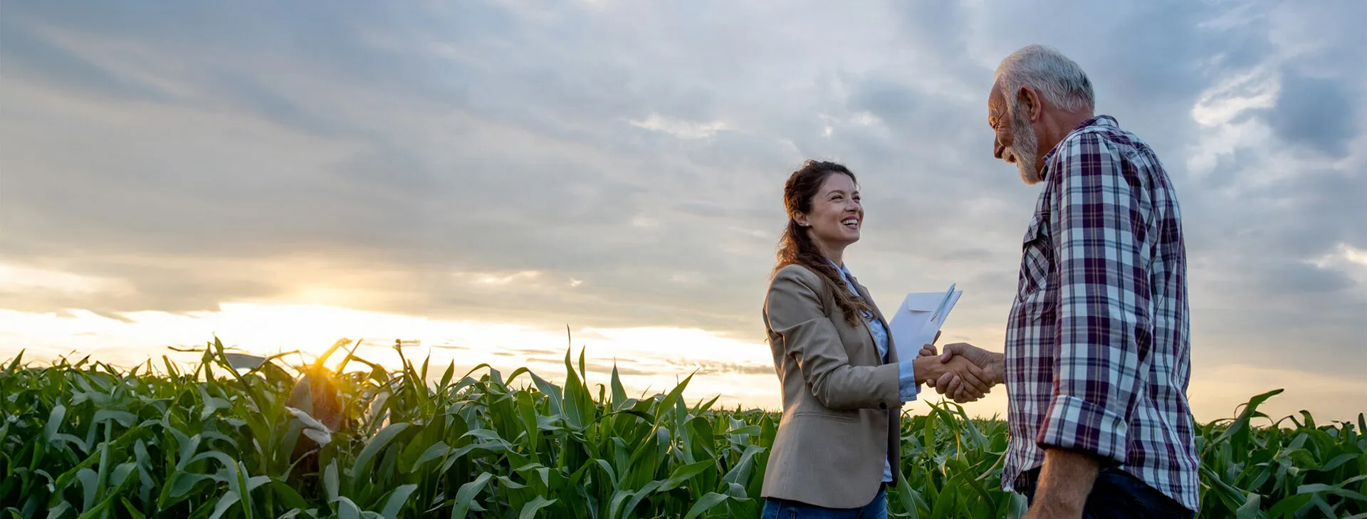 Un agriculteur serre la main à une responsable commerciale